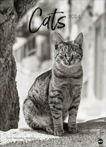 Cats Edition - Posterkalender - Kalender 2024 - Heye-Verlag - Monika Wegler - Wandkalender - 49 cm x 68 cm