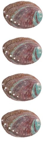 Garneck 4 Pièces Support D'Aromathérapie Coquille D'Ormeau pour Temple Décor De Coquille Domestique Offrant Un Récipient Bol De Coquille pour Brûler Décor De Coquille D'Ormeau Support De