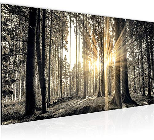 Runa Art Wandbild Wald Landschaft 1 Teilig 100 x 40 cm Modern Bild auf Vlies Leinwand Sonne Schlafzimmer Wohnzimmer Grau Braun 503812a