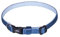 Nobby Halsband Classic Preno Mini, hell blau, L: 20-35 cm, B: 10 mm, 1 Stück