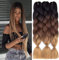 FanYu 3packs Ombre Braiding Hair Extensions Kanekalon Jumbo Braiding Hair Extensions 24 Zoll Braiding Hair Synthetic Hair For Crochet Twist (Schwarz-Dunkelbraun-Hellbraun)
