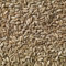 Bird Food - Sunflower Hearts, High in Oil and Energy, No Mess, Great for Hanging Feeders, Bird Tables, and Ground Feeding, Bulk Bag (20kg) - Buzzby’s