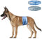 Dono Hundewindeln für Rüden, 24 Stück, Extrabreite Rüdenwindel, super saugfähig, auslaufsicher, Hunde Windeln Rüde für Inkontinenz, Reise, XS, S, M, L