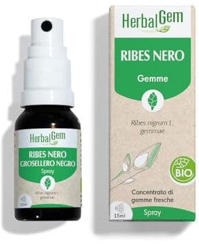 HERBALGEM - Macerato-Madre - Ribes Nero Bio - Integratore Alimentare Gemmoterapia Concentrata - Estratto di Gemme Fresche - Per Articolazioni, Muscoli - Vegan - Spray 15 ml