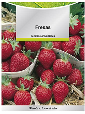 Semi Di Fragola Del Frutteto