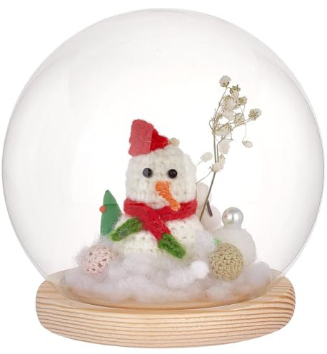 PH PandaHall Cloche Glaskuppel Glas Cloche Globe Display Kuppel mit Holzsockel Dekorative Glasvitrine für Pflanze Blume Stein Modelle Schmetterling Display Home Party Dekoration 15x16cm