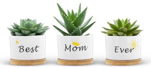 Pots pour plantes succulentes set de 3,Pots de fleurs à planter cadeau maman,Mini pot de fleurs pour plantes cactus miniatures,Pots pour plantes succulentes en céramique Pots pour plantes cactus