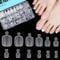TOMICCA 240pcs Long False Toe nails, 12 Sizes Matte Acrylic Artificial Fake Toenail Tips, 23mm Wide Big Toe Nails for Nail Repair, Nail Salon and Nail Art DIY - Large Sizes(easy to file&paint)