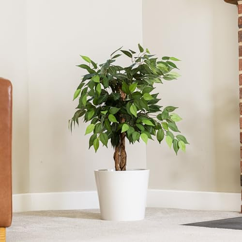 Garden Gear Artificial Ficus Tree 90cm or 150cm with Natural Wood Trunk, Faux Plant in Nursery Pot, Silk Leaves, Indoor Outdoor Greenery Home Office Décor (90cm Ficus Tree)