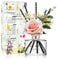 Cocod'or COCODOR Rose Diffusor/April Brise/200ml/konservierten Das Schleierkraut, Raumduft, Duftöldiffusoren, Duftstäbchen, Wohnaccessoires & Deko, Aromatherapie