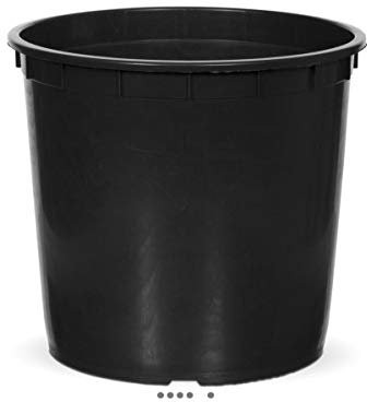 Capi - Insert Cache-Pot 32x28 15L - dimhaut: H 32 cm