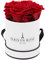 PARIS EN ROSE Rosenbox | mit 4 bordeaux-roten Infinity Rosen Größe XL | konservierte ewige Rose | runde Weiß-Schwarze Box |3 Jahre haltbar | Grußkarte