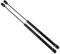 CJLFDC 2x Gasfeder Dämpfer Motorhaube,Für ASTON MARTIN DB9 Convertible 2004-2016 344mm Hood Struts Motorhaubendämpfer