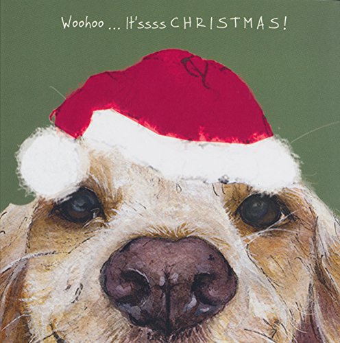 Springer Cocker Sprocker Spaniel dog in Santa hat Christmas card - It'ssss CHRISTMAS!