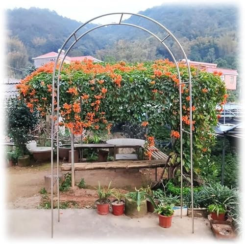 Gartenbogen Aus Edelstahl Rosenbogen Aus Metall Garten Torbogen Rankgitter Rosenhilfe Wetterbeständig Rankhilfe Spalier (150 * 240cm)