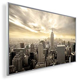 Bild-Infrarotheizung ✓ HD Qualität mit 5 Jahre Herstellergarantie ✓ Tolle Motive ✓ überhitzungsschutz ✓ inkl. Thermostat ✓ 300W ✓ Motiv: 152. New York Vogel