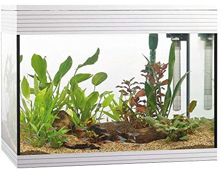 Askoll Aa350049 Acquario Pure Bianco, L, Bianco