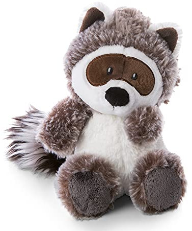 NICI Kuscheltier Waschbär Rauly Raccoon 25cm – Waschbär Plüschtier für Mädchen, Jungen & Babys – Flauschiges Stofftier zum Kuscheln & Spielen – Weiches Schmusetier – Forest Friends Kollektion