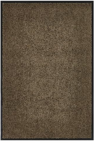 andiamo Premium-Fußmatte Wash & Clean - langlebige Schmutzfangmatte Hauseingang - als Fußmatte innen oder als Fußabtreter im überdachten Außenbereich - saugstarker Fußabstreifer 40 x 60 cm Braun