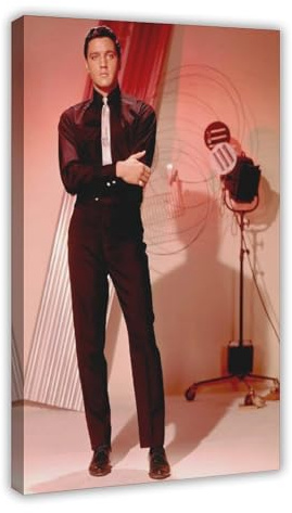 HACERR Elvis Presley, schwarzer Anzug, silberne Krawatte, Fotoshooting, berühmter Künstler aus den 50er-Jahren, Poster, Leinwand-Poster, Wandkunst, Dekordruck, Gemälde für Wohnzimmer, Schlafzimmer,