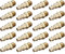 Air Hose Fittings and Air Coupler: Air Compressor Quick-Connect mnpt Male Plug Kit (Industrial Type D,1/4-Inch. NPT, Solid Brass, 20 Piece)