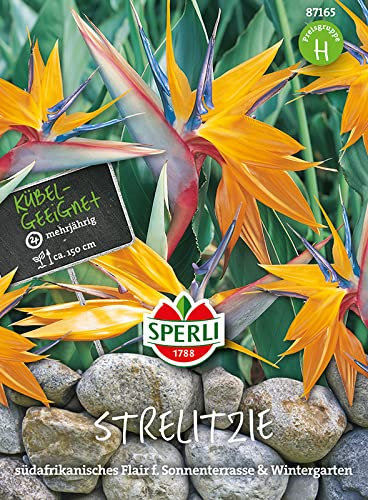 Paradiesvogelblume Strelitzia reginae Sperling`s Papagei