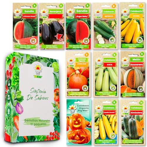 LW TORAF Set di semi XXL 12 varietà premium di ortaggi, 500 semi di ortaggi, piante giardino, per cucina, balcone e giardino, anguria, zucca, melanzana, zucchino, melone, cucurbitacee