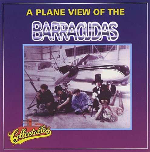 A Plane View Of The Barracudas