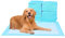FluffyDream Trainingsunterlage für Hunde und Welpen, 40-Stück 60X60cm Puppy Pads, Welpenunterlagen, Auslaufsicheres 5-Lagiges Design mit Schnell Trocknender Oberfläche, Mittelgroß, Blau