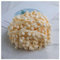 GreatRise Pompon-Borte Bunt Pom Poms Quaste Borte Spitzenband mit 1.2 cm Pompons Bommelborte Pomponband Quaste Trim Band für Basteln Nähen Kleidung Zuhause Dekorieren Beige 3 Yard