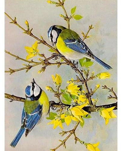 TOCAVE Malen nach Zahlen Ölgemälde nach Zahlen Vögel Tiere Ölgemälde handgemalte Kunst Geschenk Bildnummer Set Heimtextilien DIY Crafts 40x50cm