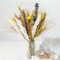 Natürliche Pampasgras Deko 65 Stück DIY Trockenblumen für Pampasgras Getrocknet Strauss, Ideal for Boho Wohnzimmer-Schlafzimmer-und Vasen Deko (73 Stück)
