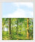 GRAZDesign Fensterfolie Blickdicht Sichtschutz, Sichtschutzfolie Fenster, Glastüren, Duschkabine, Milchglasfolie Bedruckt mit Motiv Wald 80x57cm