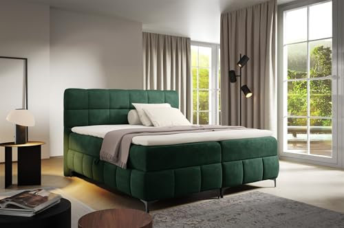 Fun Möbel Boxspringbett Schlafzimmerbett Sophie Stoff Salvador (Flaschengrün, 200x200 cm)