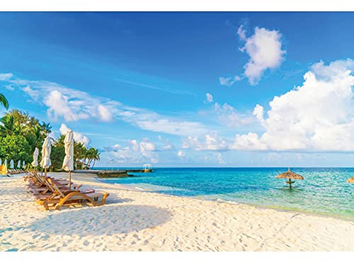 Renaiss 2.2x1.5m Hawaii Sommer Küste Hintergrund Tropische Küste Meer Strand Palmen Fotografie Hintergrund Kinder Erwachsene Reisen Urlaub Party Dekoration YouTube Shooting Fotostudio Requisiten