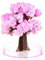 dijiusidy Arbre en Croissance Sakura, Jouet d'apprentissage ludique et interactif, Arbre en Croissance Magique, Jouets d'arbre en Fleurs, Sakura Rose
