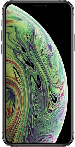 Apple iPhone XS, 256GB , Space Gray - Fully Unlocked (Renewed)