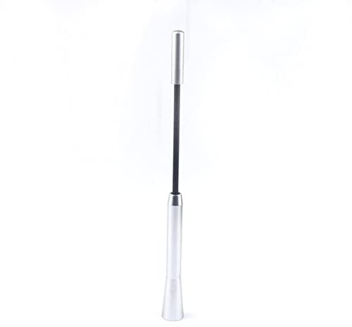 Auto Radio Antenne Aerial, Asudaro Autoantenne Aluminiumlegierung Universal Kfz Antenne 170mm Kurzstabantenne Signalempfänger für KFZ PKW LKW Geländewagen,Silber-