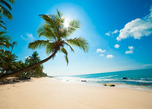 BELECO 6x3m Tropical Beach Backdrop, Sommer Strand Palme Ozean Insel Fotografie Hintergrund, Hawaii Luau Party Deko, Geburtstag Hochzeit Fotoshooting Requisiten