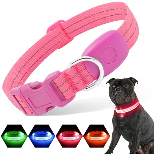 PZRLit LED Hundehalsband – Leuchthalsband Hund Verstellbar, Reflektierendes & Wasserdichtes Hundehalsband, USB Aufladbares Sicherheitshalsband für Kleine Mittel Große Hunde, Halsbänder