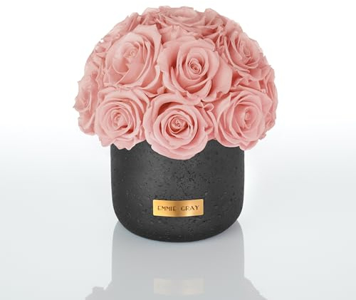 EG EMMIE GRAY Black Solid Infinity Collection - Traumhafte Infinity Rosen, 1-3 Jahre haltbare Rosen, Betonvase mit echten, konservierten Rosen, edle Premiumrosen - Größe S (Antique Pink)
