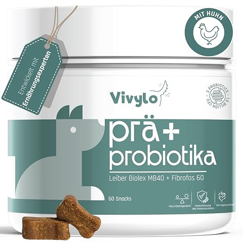 Vivylo 3 Probiotika + 2 Präbiotika für Hunde - 60 Premium Hund Verdauungssnacks für die Darmkur & Darmsanierung - Stärkung des Immunsystems deines Hundes - Magen Darmflora Aufbauen - mit Huhn (180g)