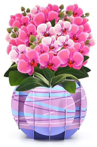 Fassory Pop Up Orchid Flower Card, Pot of Orchids Decorative Card for Birthday New Home Thank You Anniversary (Orchids)