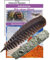 Weißer Salbei White SAGE Smudge Stick 16-18cm zum Räuchern. SCHAMANISCHES Räucherwerk & Räucherfeder. Räucherbündel für Schutz + Hausreinigung + Rauhnächte. 81056
