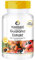 Guarana Extrakt 300mg - 120 Tabletten - hochdosiert & vegan | Warnke Vitalstoffe - Deutsche Apothekenqualität