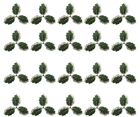 SUIOPPYUW 20 PZ 10 MM Agrifoglio Bacca Foglie Verdi Ornamento Simulazione Vivid Leggero Fadeproof Solido per Secco Floreale Artigianato Festa