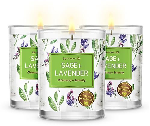Magnificent 101 -Set mit 3 langlebigen reinen Salbei- und Lavendelkerzen – jeweils 95 ml – 42 Stunden Brenndauer | Ganz natürliche, organische, erdöl- und paraffinfreie natürliche Sojawachskerzen