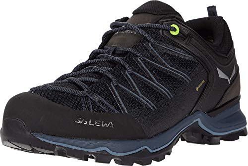 Salewa Mountain Trainer Lite Gore-Tex® Men's Shoes