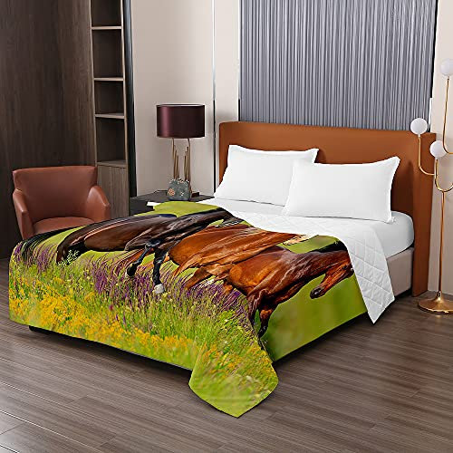 Odot Tagesdecke Bettüberwurf Steppdecke, 3D Pferd Drucken Bedspreads aus Mikrofaser Unterfüttert und Gesteppt Waschbare weich Wohndecke für Einzelbett Doppelbett (150x200cm,Lavendel)