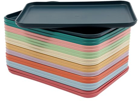 20 Stück Kunststoff Lebensmitteltablett, Kunststofftablett, Rechteckiges Serviertablett mit Erhöhtem Rand Fast Food Café Tabletts rutschfest für Küche Esszimmer 31 * 22cm